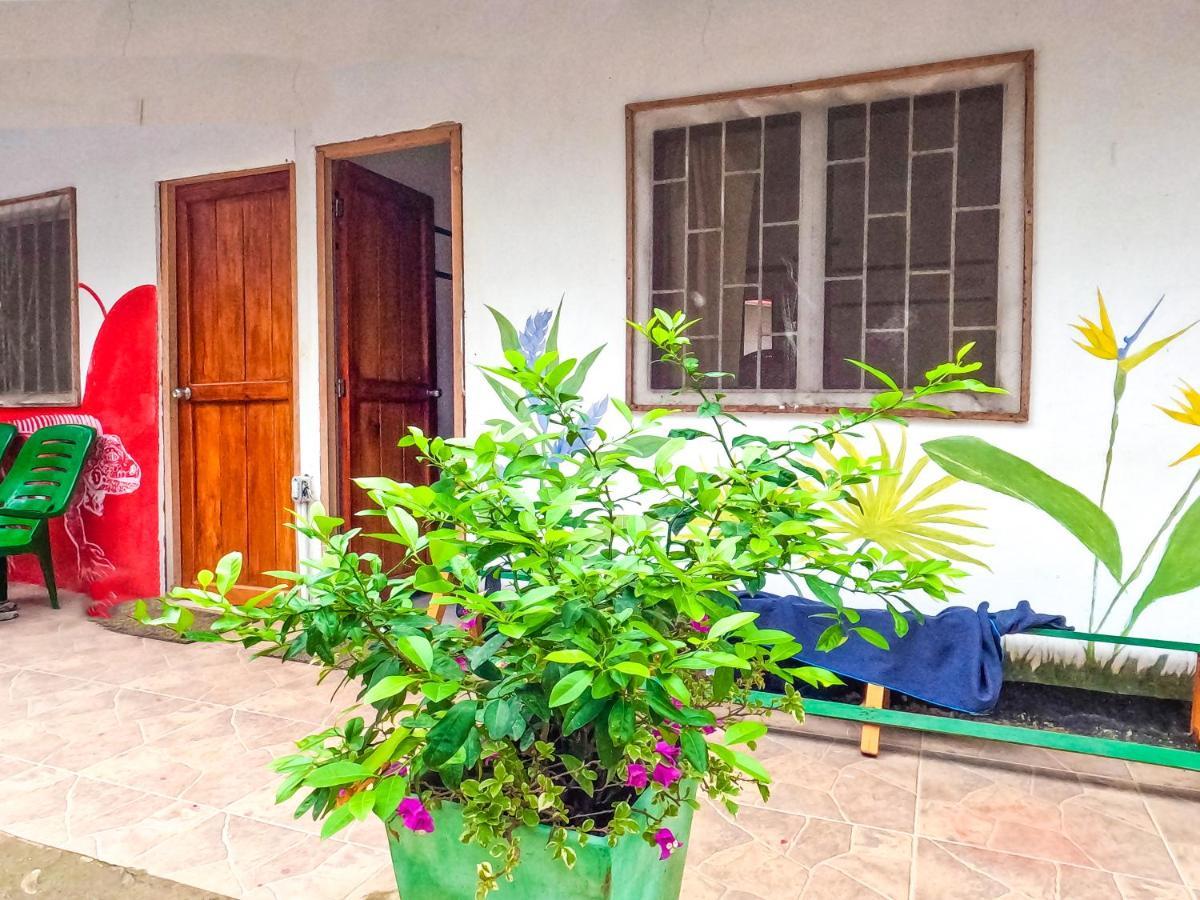 Palomino Hostel Exterior photo